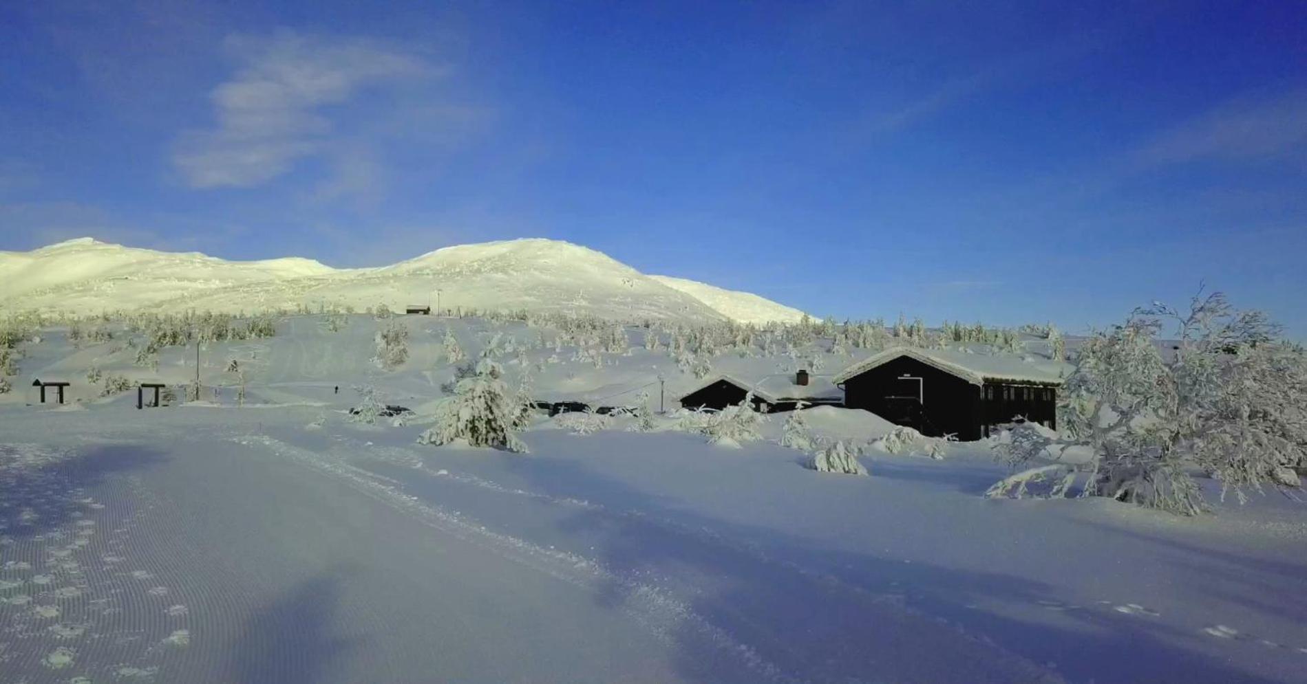 Hotel Lifjellstua Lifjell