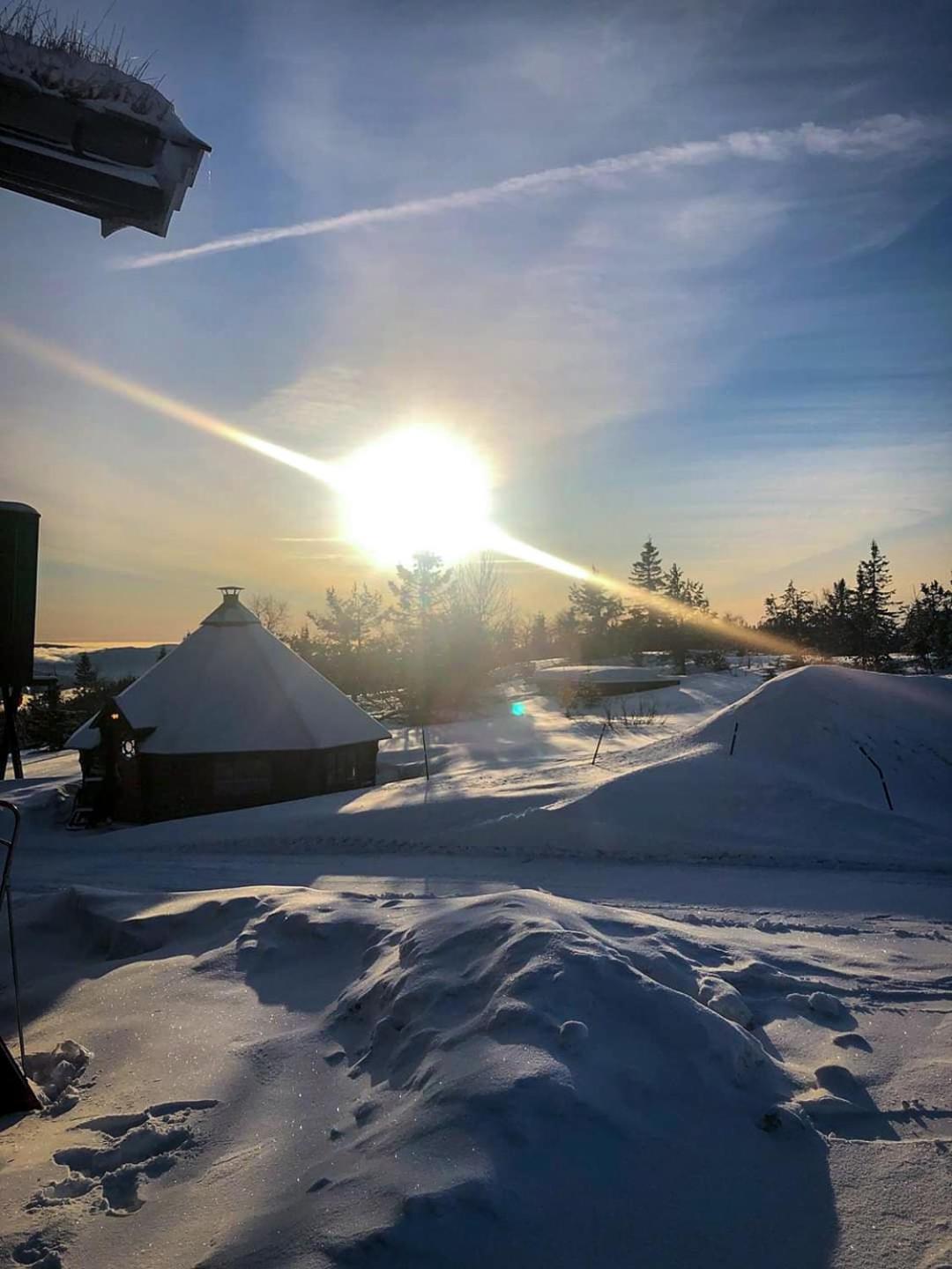 Hotel Lifjellstua