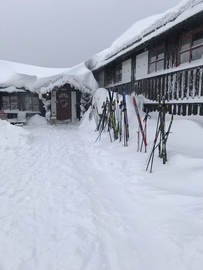 Hotel Lifjellstua 3*